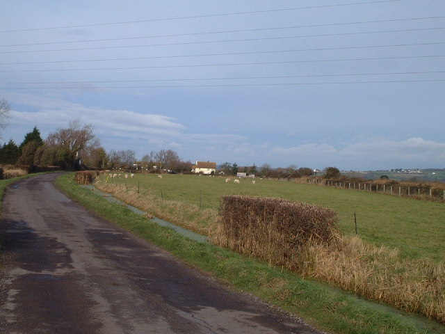 Field near Wick