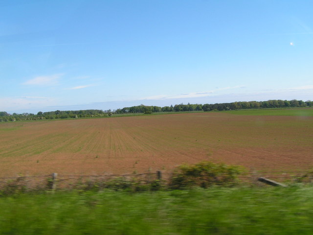 Ploughed Field