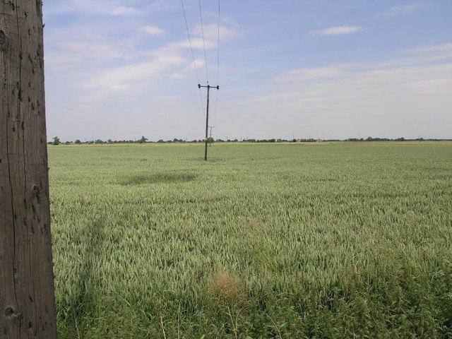 Field and Cables