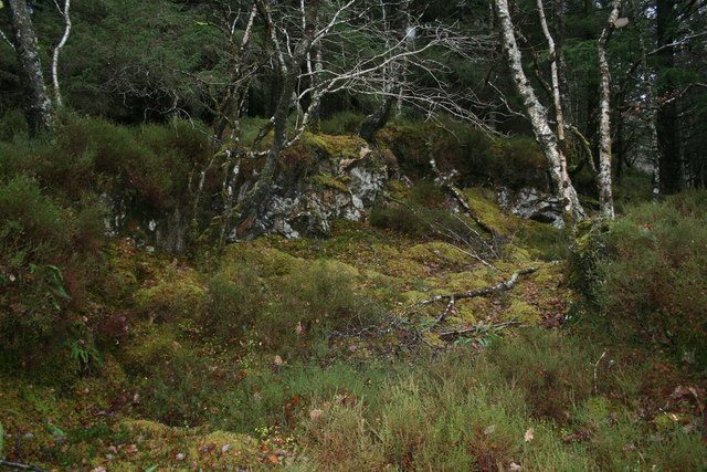 Woodland and rock near Camasaine