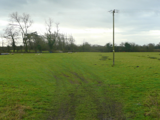 Sheep pasture between the M5 and A38