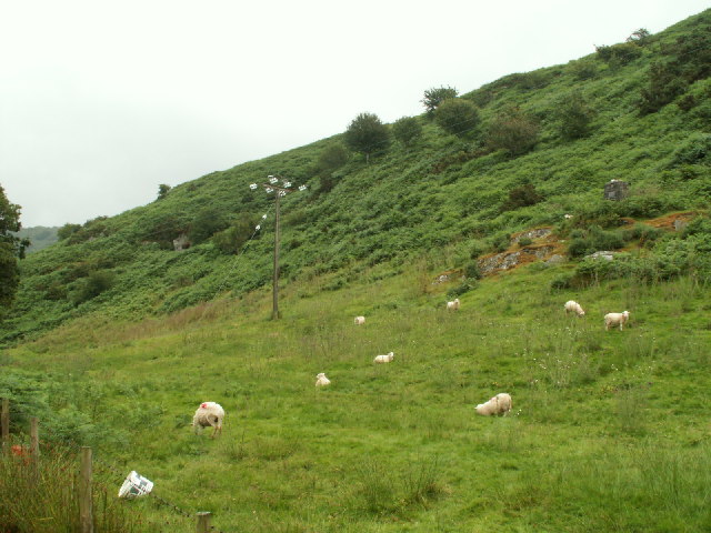 Hillside near Eglwys Fach