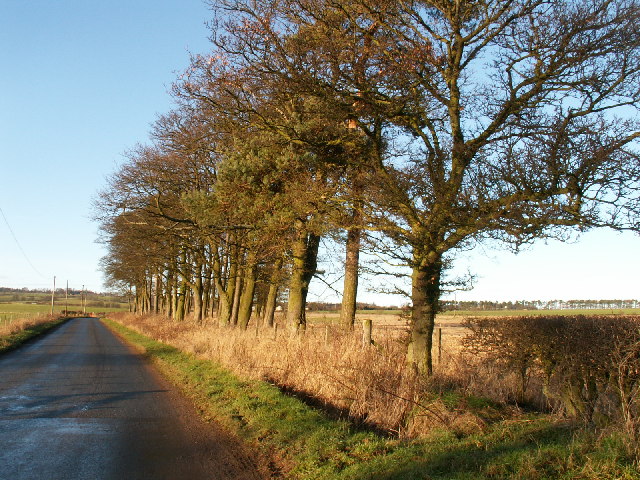 By Hatton Farm