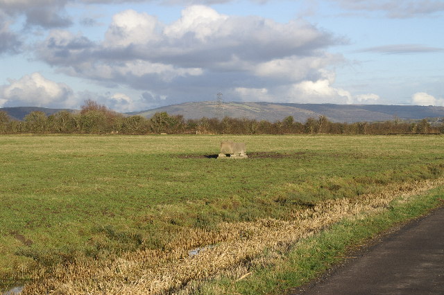 Trough in field off Pill Road