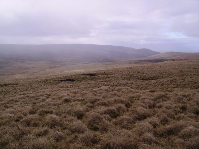 Above Hornby Road