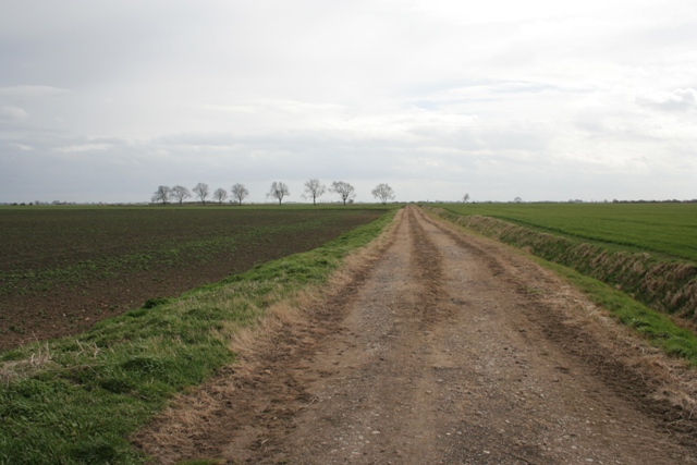 Farm Track on Haconby Fen
