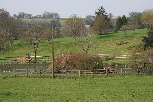 Pond and Gardens