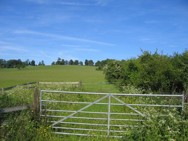 Pen and Hill Clumps