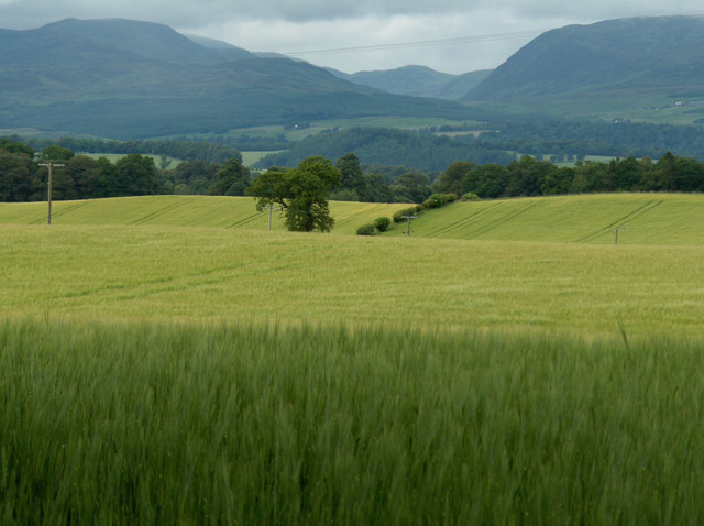 Farmland east of Muthill