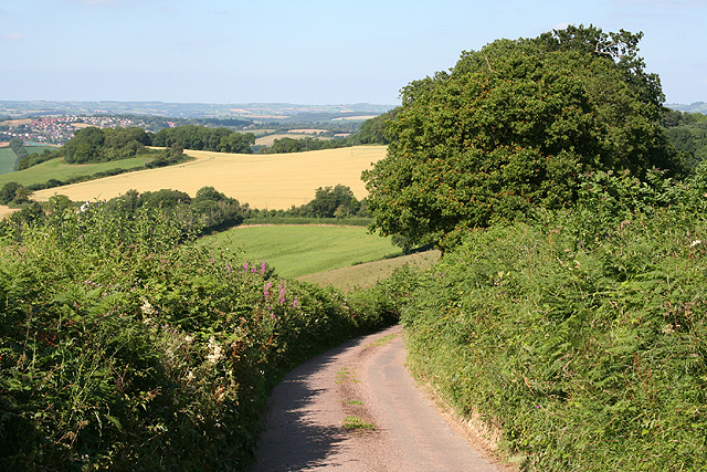 Crediton Hamlets: on Castle Down