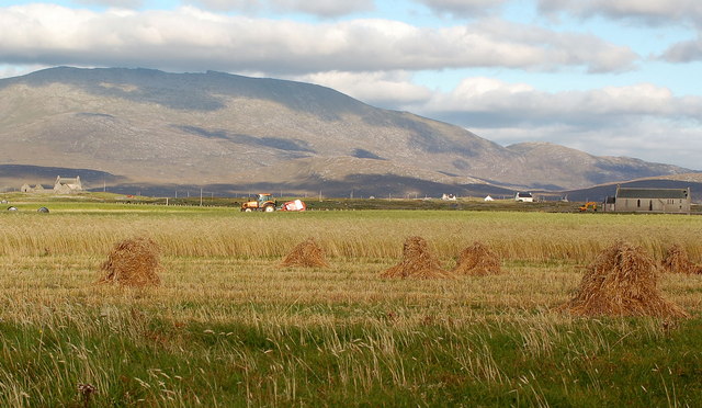Bornish machair