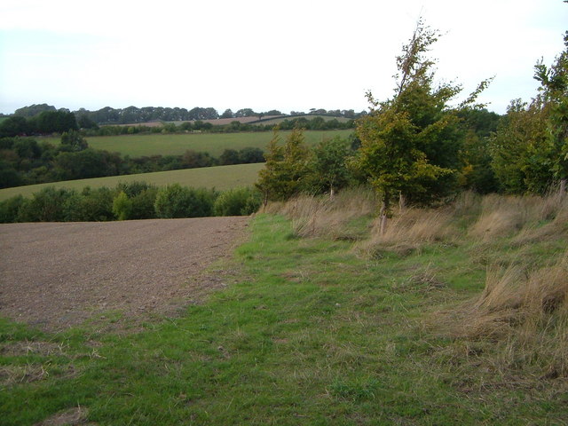View near Square Bookhams