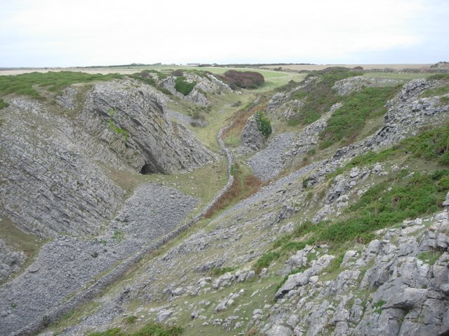 Coastal Gully