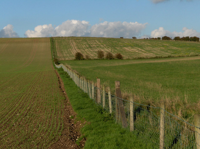 Farmland, Aldbourne