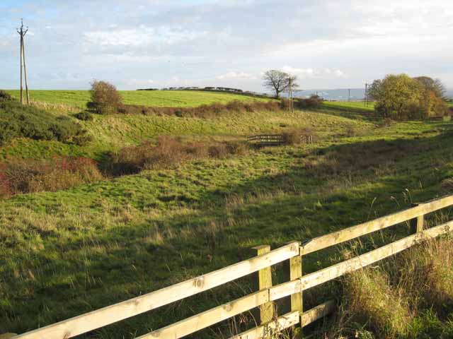 Small stream valley near Elwick