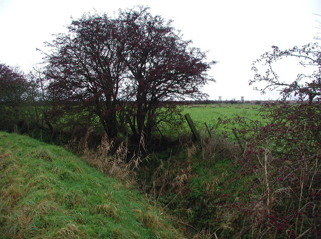 Ings Drain