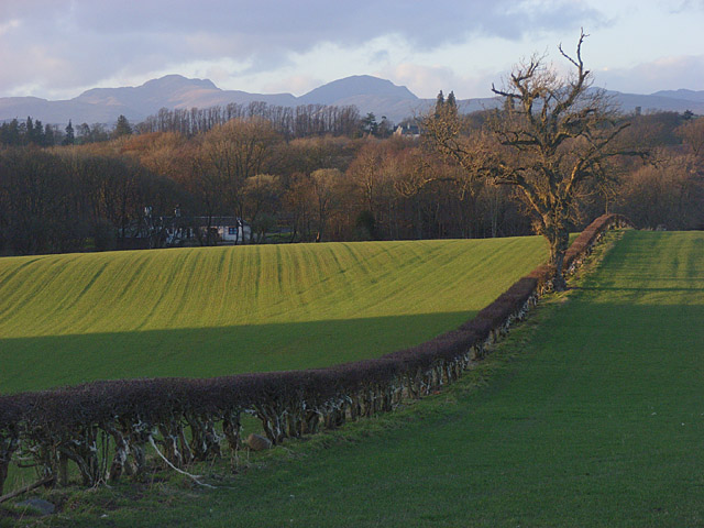 Farmland, Burnbank