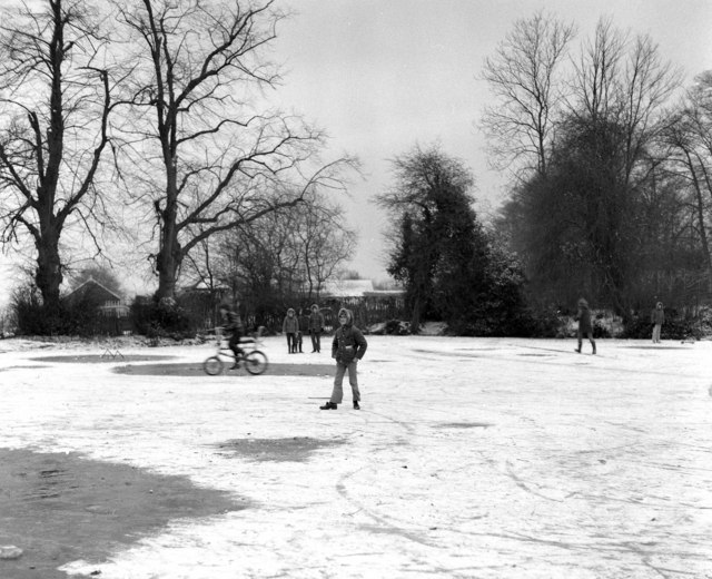 Elmore Pond, Chipstead, Surrey