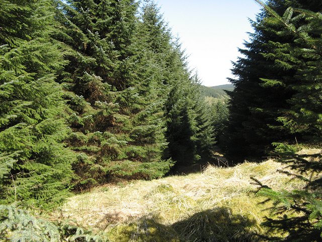 Ride, Blue Cairn Hill