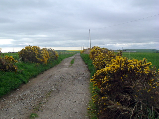 Track to North Bedlam