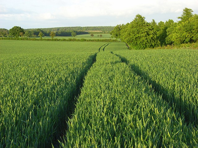 Farmland, Micheldever