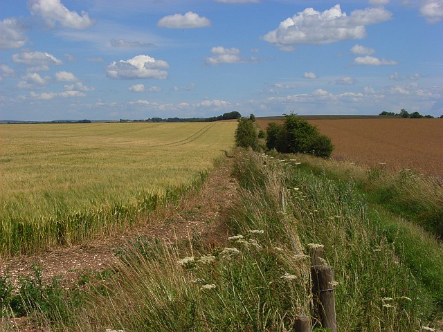 Farmland, Woodford
