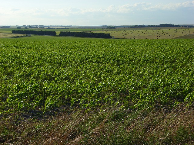 Farmland near Stonehenge