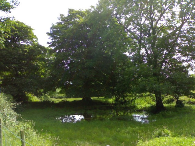 Pool near Old Henllys