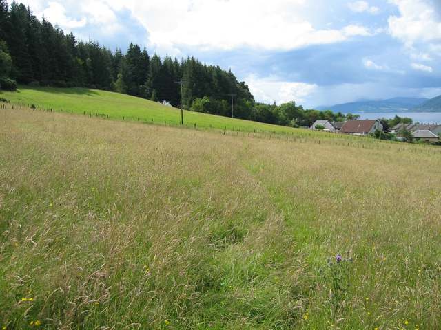 Fields at Dores
