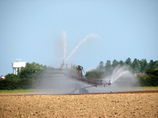 Sprinkler