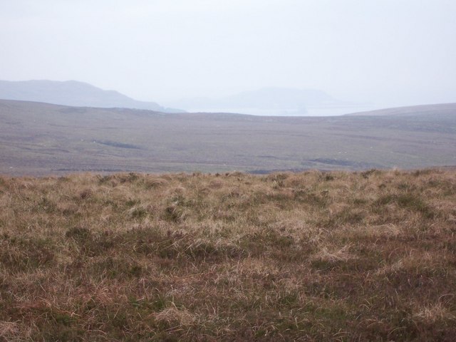 Ferret of Keith Moor