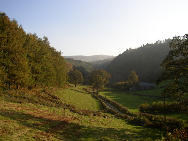 The road to Glaspwll