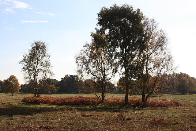 Brettenham Heath National Nature Reserve