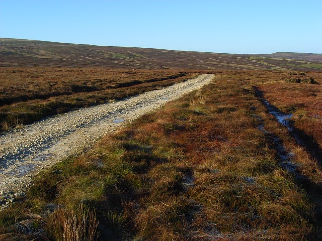 Track above Rowting Burn