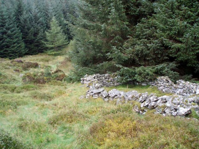 Sheepfold at edge of forest track
