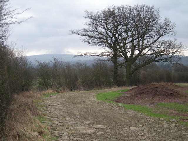 Newly laid track