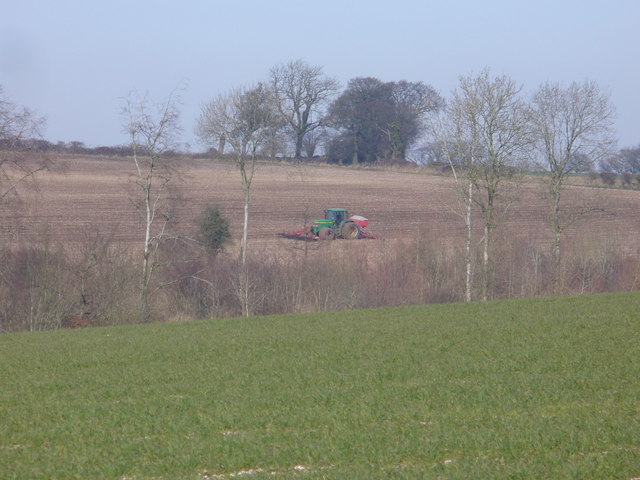 Early Spring Activity