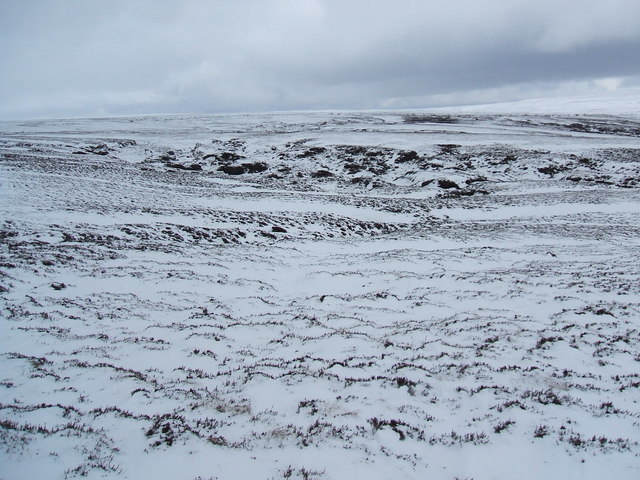 On Murton Fell