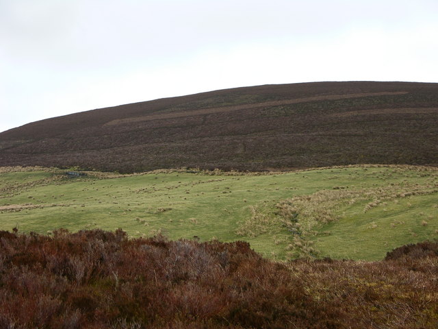 Moel Cae-Howel
