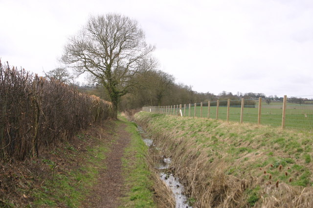 Footpath by stream