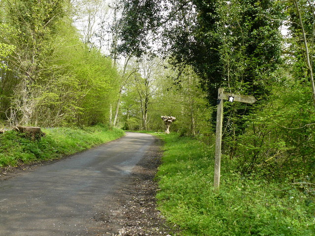 Chute Cadley - Footpath Crossing The Main Road