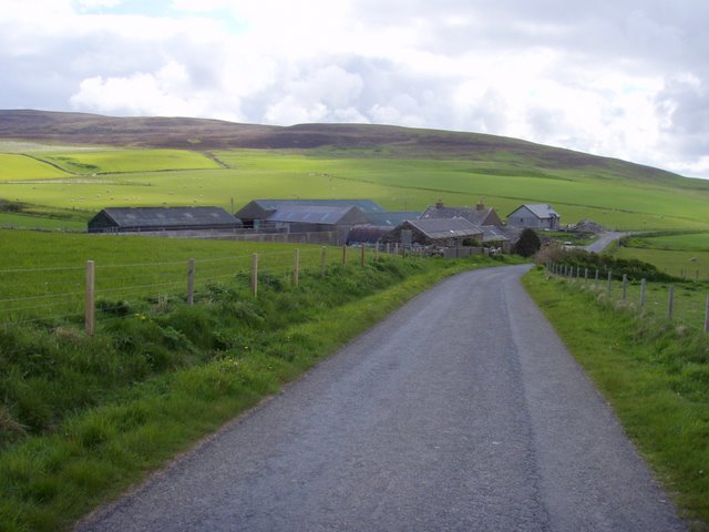 Skaill 