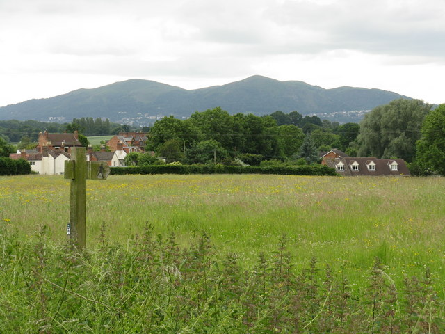 Path to the hills