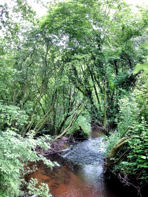 Wych Brook - three counties (and two countries) join