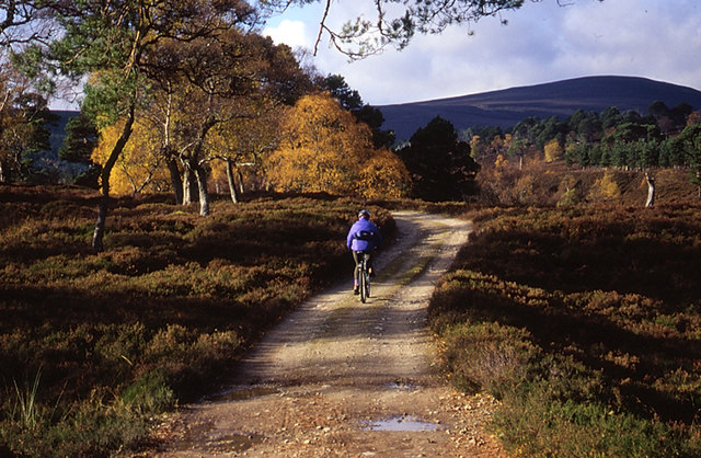 In Glen Quoich