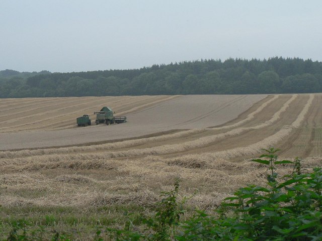 Edmondsham: fields of Lower Farm