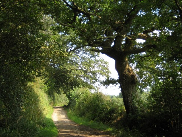 Isles Lane, East Coker