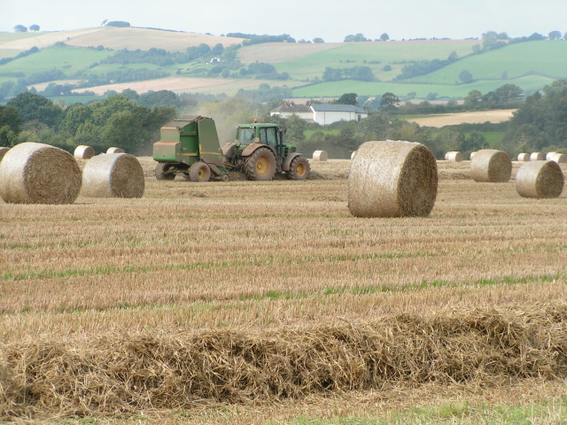 Making hay at Nether Exe