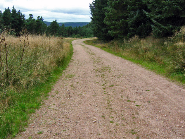 Fetteresso Forest