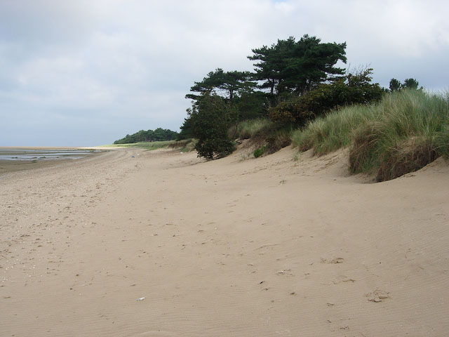 Dune front, East Hills